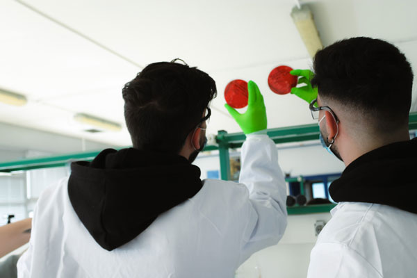 foto-quimica